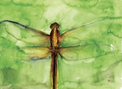 Groene libel in aquarel door RodMacIver