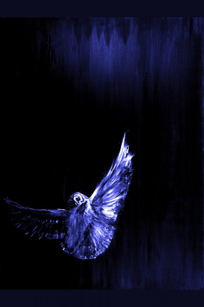 De vlucht van de mystieke blauwe uil door RodMacIver