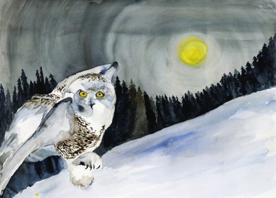 Sneeuwuil en wintermaan door RodMacIver
