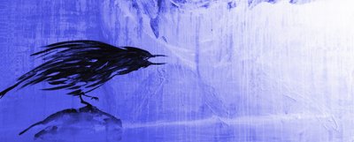 Eenzame blauwe raaf door RodMacIver