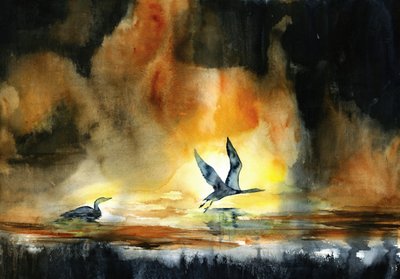 Watervogels bij zonsondergang door RodMacIver