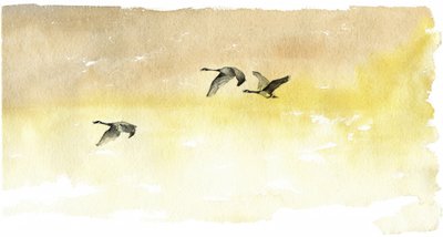 Aquarel: Ganzen in vlucht door RodMacIver