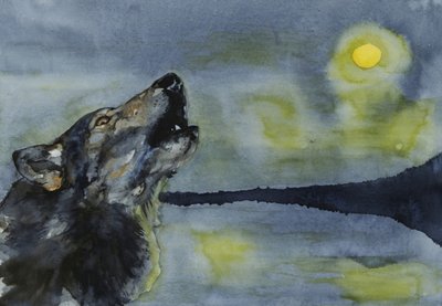 Een wolf huilt naar de maan door RodMacIver