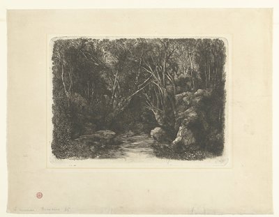 Boslandschap met Beek en Overhangende Bomen door Rodolphe Bresdin
