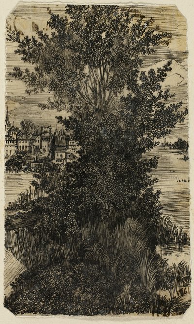 Bosje Bomen met een Dorp in de Verte door Rodolphe Bresdin