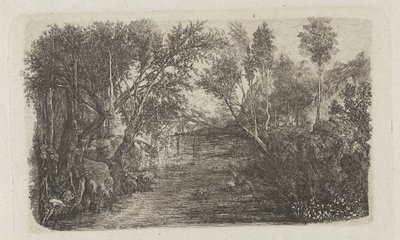 Landschap met beek en bomen op oevers door Rodolphe Bresdin