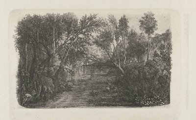 Landschap met beek en bomen op oevers door Rodolphe Bresdin