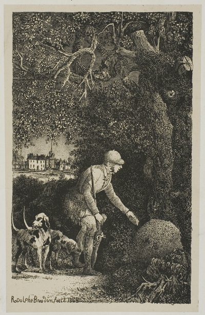 De Diplomaat en de Mierenhoop, Illustratie voor Fabels en Verhalen door Hippolyte de Thierry-Faletans door Rodolphe Bresdin