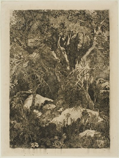 Het Bos van Fontainebleau door Rodolphe Bresdin