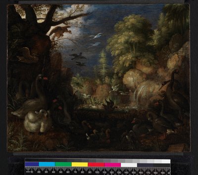 De schepping van vogels, 1619 door Roelandt Jacobsz. Savery