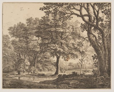 Plaat. 6, uit Six Views in the Wood of The Hague door Roelant Roghman