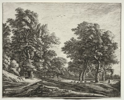Zes uitzichten in het bos van Den Haag: geiten onder de bomen door Roelant Roghman
