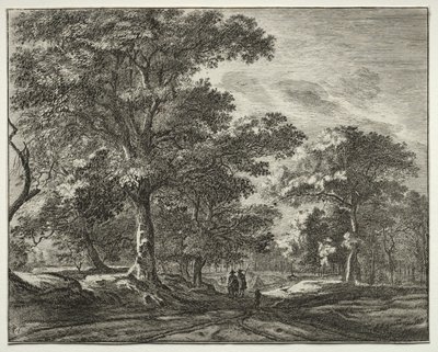 Zes gezichten in het Haagse bos (serie) door Roelant Roghman