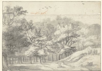Gezicht in het Haagse Bos door Roelant Roghman