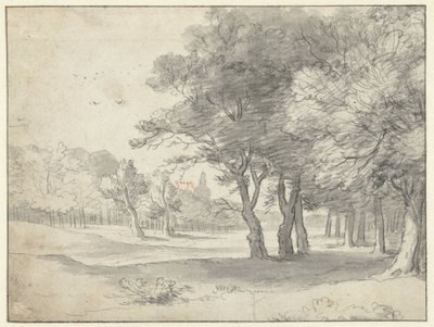 Gezicht in het Haagse Bos, met de Grote Kerk, Den Haag, in de verte door Roelant Roghman