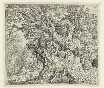 Knoestige bomen door Roelant Savery