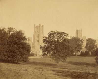Kathedraal van Ely vanuit het park door Roger Fenton