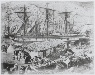 De veesteiger in de haven van Balaklava door Roger Fenton