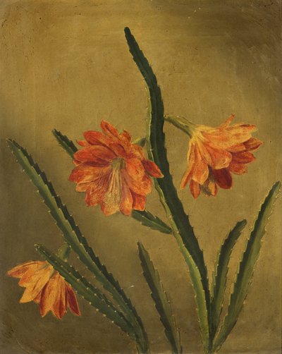 Studie van bloemen door Rolinda Sharples