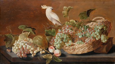 Stilleven met papegaai, c.1640 door Roloef Koets