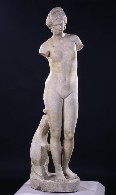 Aphrodite van Cyrene door Roman