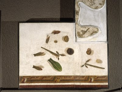 “Asarotos” (Ongeveegde vloer) Fragmenten van mozaïek, gesigneerd door Harakliton uit Rome, 2e eeuw na Christus door Roman