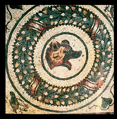 Berenkop, Romeins mozaïek, begin 4e eeuw door Roman