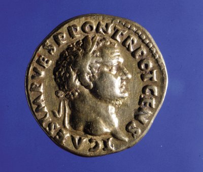 Munt met de beeltenis van de Romeinse keizer Titus (40 - 81). Collectie van de Medagliere van Milaan door Roman
