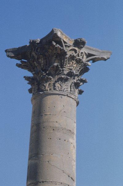 Zuil met een Korinthisch kapiteel van de nymphaeum, Romeins, 2e eeuw door Roman