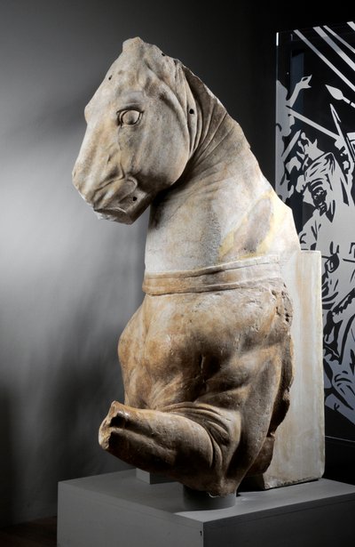 Voorkant van een paard door Roman