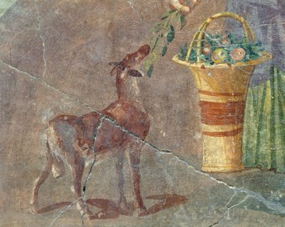 Geit en mand met fruit, fresco uit Pompeii, Campania, Italië, Romeinse beschaving door Roman