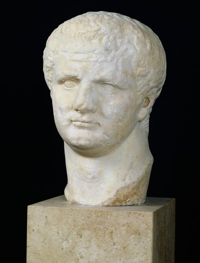 Hoofd van Titus (39-81) door Roman