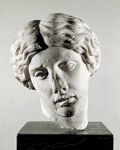 Hoofd van een amazone door Roman