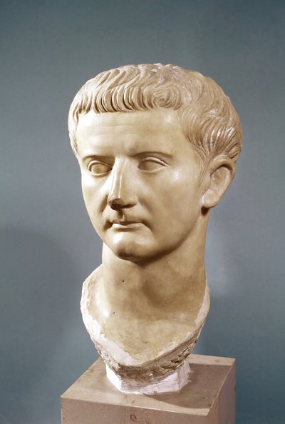 Hoofd van Keizer Tiberius (42 v.Chr.-37 n.Chr.) door Roman