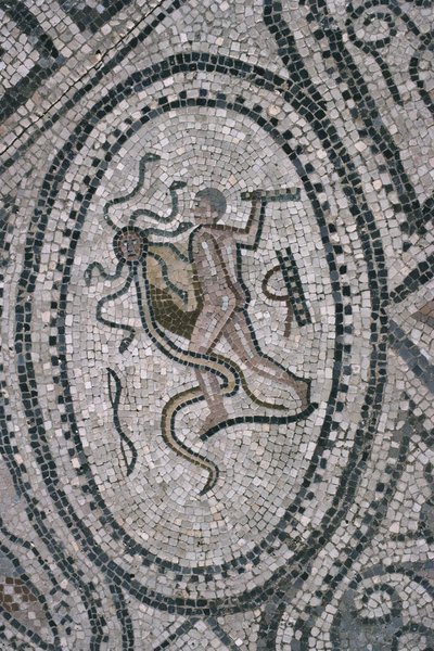 Hercules en de Lernaeaanse Hydra, van de vloer van 