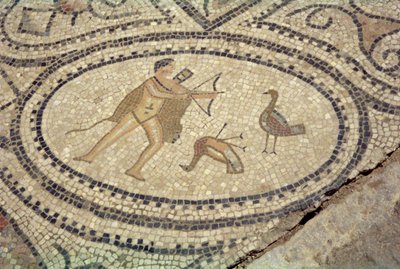 Hercules en de Stymphalische Vogels, van de vloer van 