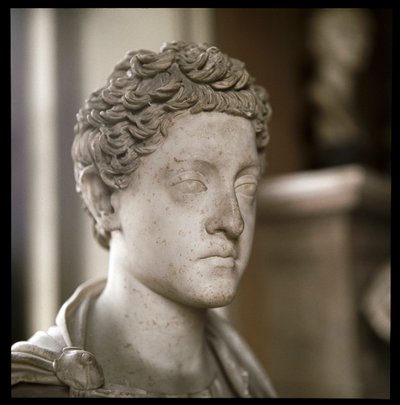 Marmeren buste van Keizer Commodus (beeldhouwwerk, 2e eeuw) door Roman