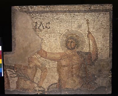 Mozaïek uit het Huis van Menander met Zeus, 3e - 4e eeuw (kalksteen en marmer tesserae) door Roman