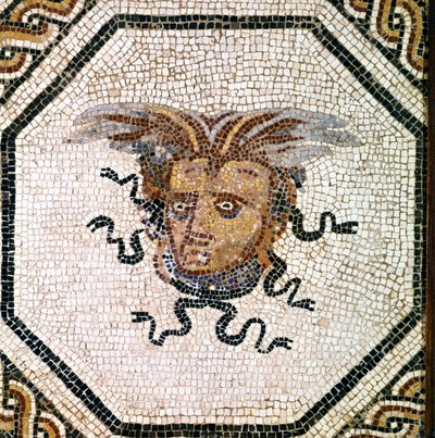 ROMANSE KUNST: Medusa. door Roman