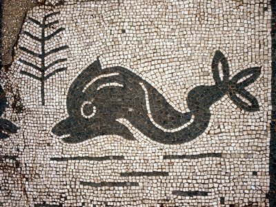 Voorstelling van een dolfijn naar een mozaïek op het plein van de Corporazioni van Ostia antica. door Roman