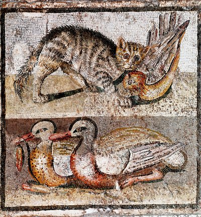 Romeinse kunst: mozaïek dat een wilde kat toont die een patrijs en twee eenden vangt. 200-150 v.Chr. Rome, Museo Nazionale Romano door Roman