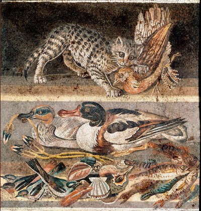 Romeinse kunst: kat die een patrijs eet, en wilde eenden Eerste helft van de 1e eeuw v.Chr. Rome, Museo Nazionale Romano door Roman