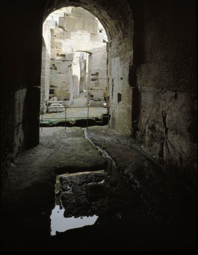 Romeinse kunst: zicht op de ondergrondse gangen van het Colosseum in Rome, Italië door Roman