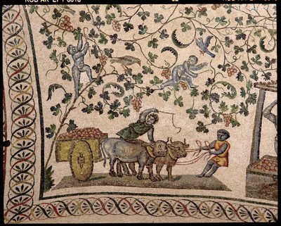 De druivenoogst door Roman