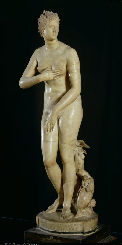 De Medici Venus, kopie van het Hellenistische origineel door Praxiteles door Roman