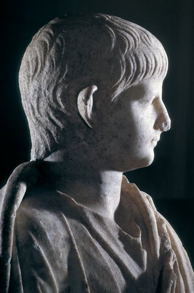 Togate standbeeld van de jonge Nero, zijaanzicht van het hoofd, ca. 50 AD (marmer) (detail) door Roman