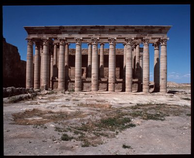 Uitzicht op Romeinse tempel door Roman