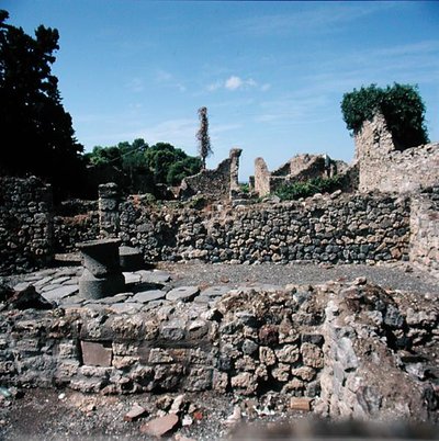 Uitzicht op verwoeste huizen door Roman