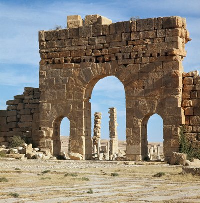 Uitzicht op de archeologische site door de poort van Antoninus door Roman