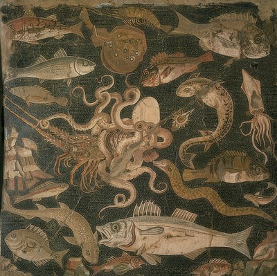 Waterdieren, gevecht tussen een inktvis en een kreeft door Roman